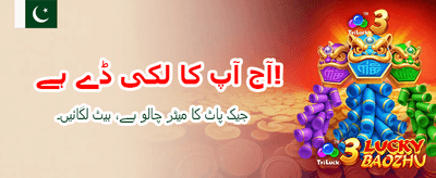 وی آئی پی لاگ ان کریں