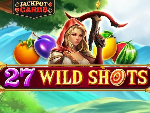 27 Wild Shots screenshot